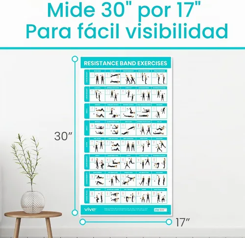 Vista 5 de Vive Póster de entrenamiento de banda de resistencia