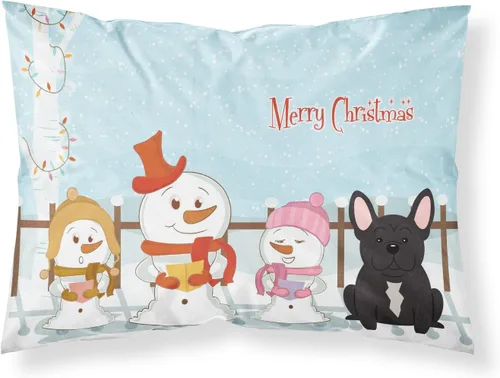 Vista 96 de Caroline's Treasures BB2515PILLOWCASE Between Friends Appenzeller Sennenhund - Funda de almohada de tela estándar, ligera, súper suave, fácil