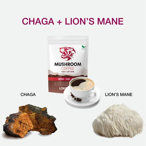 Vista 3 de Café de hongos Tiger 2: melena de león orgánica y hongo chaga con café arábica, 30 porciones, memoria, enfoque, refuerzo del sistema inmunológico