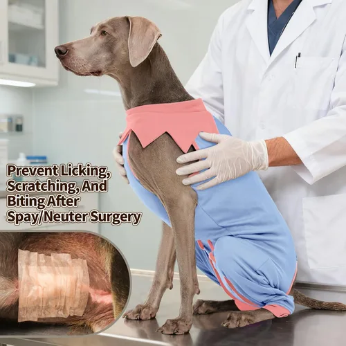 Vista 4 de FUAMEY Traje de recuperación para perros con manga acolchada para la pierna trasera, mameluco para perro con cremallera para cirugía