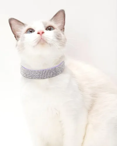 Vista 5 de Collar de perro para perros medianos, collares de perro ajustables de cuero gamuza con brillantes, collar de perro rojo rosa, collar de gato, collar