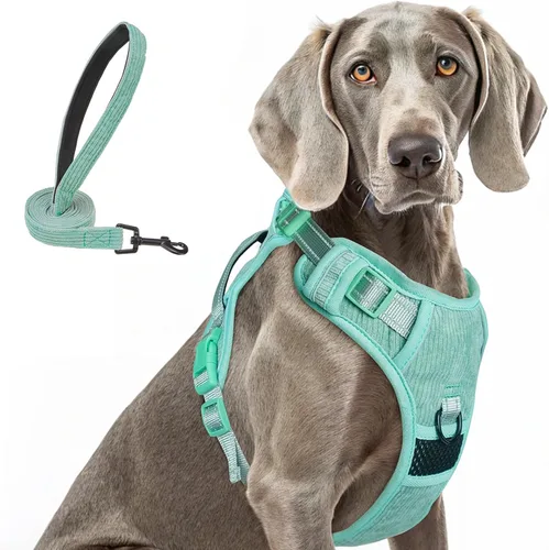 Vista 20 de BEAUTYZOO Arnés para perro sin tirones pequeño, juego de arnés y correa ajustable para perro - Fácil de usar con 3 hebillas/mango de control, arnés