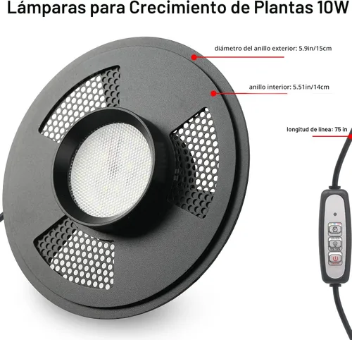 Vista 4 de Terrario de Vidrio de Escritorio con Luz de Crecimiento (Altura: 9.8" Diámetro: 5.9"), para Suculentas, Musgo, Jardinería en Miniatura, Acuario