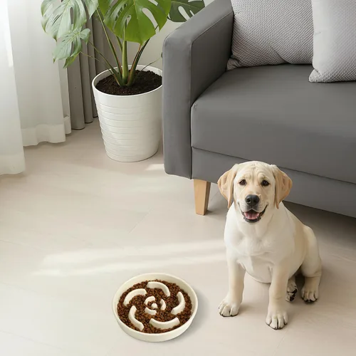 Vista 8 de Cuenco de cerámica para perros de alimentación lenta, 2 tazas de plato de Flor - Blanco