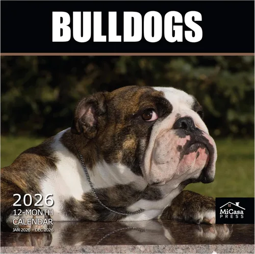 Vista 39 de MICASA PRESS Calendario de pared de Australian Shepherds Aussies 2027 02 - Pastores australianos