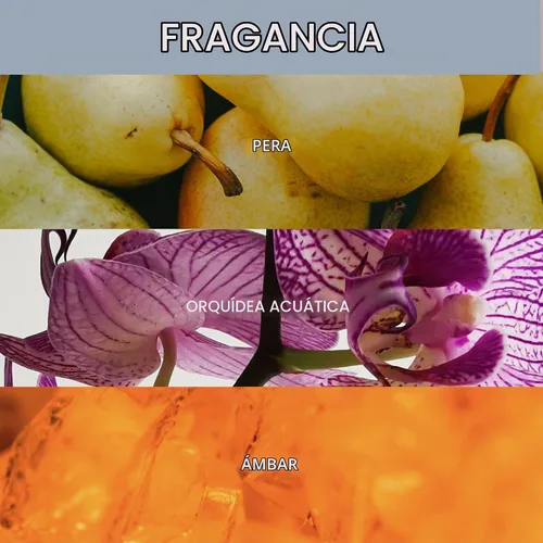 Vista 6 de ALURAM Juego de champú y acondicionador hidratante a base de agua de coco (2 tamaños)