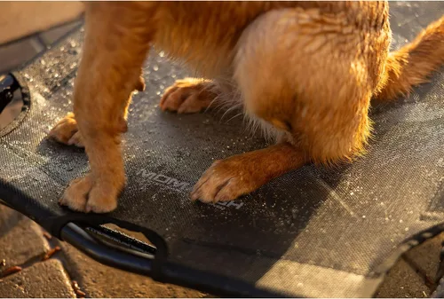 Vista 6 de Momarsh Cuna elevada para perros con almohadilla suave lavable y marco plegable para viajes y uso doméstico Cuna todo en uno con pies