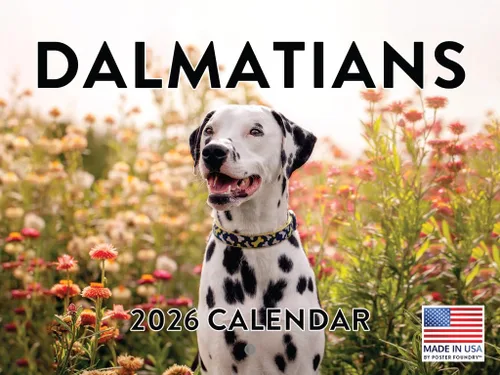 Vista 105 de Calendario mensual de pared Airedale Terrier Dog 2027 rojo (Airedale Terrier)