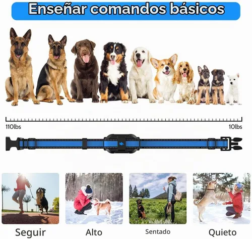 Vista 7 de Collar eléctrico de entrenamiento para perros con 4 modos de entrenamiento y control remoto recargable, rango impermeable de 3300 pies para perros
