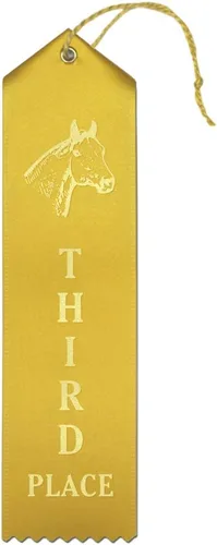 Vista 6 de RibbonsNow Cintas de 1er lugar de Horse Show - 50 cintas azules con tarjeta y cuerda