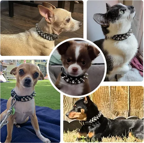 Vista 4 de Collar de perro y gato negro con púas pequeñas para perros pequeños y medianos machos – Collar ajustable con tachuelas – Collar de cuero punk