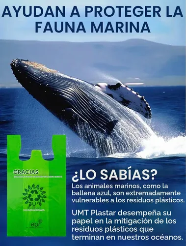 Vista 4 de [500 por caja] Bolsas reciclables compostables reutilizables biodegradables para camisetas Bolsas de compras de comestibles Bolsas de plástico