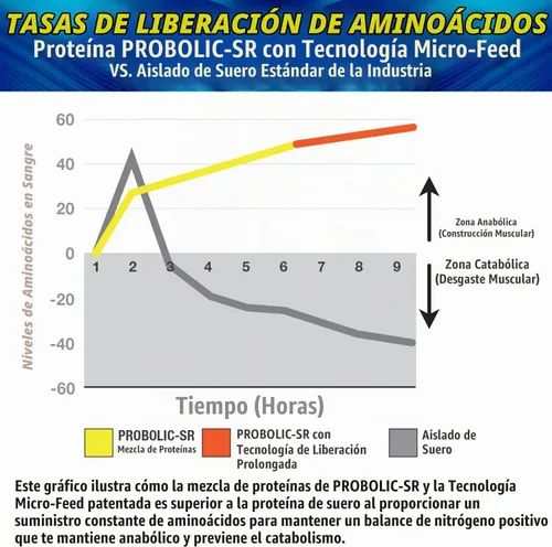 Vista 4 de MHP Probolic-SR - Proteína en polvo de liberación sostenida, chocolate, 2
