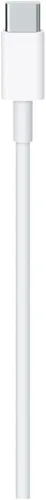 Vista 2 de Apple cable cargador USB-C (2m)
