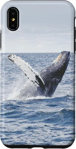 Vista 11 de Whale Case for iPhone 17