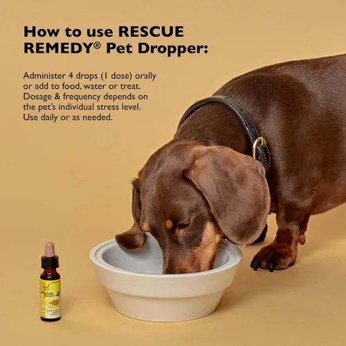 Vista 3 de Rescue Remedy gotero para mascotas - 10mL - Apoyo para el estrés y la tensión para perros y gatos con esencias naturales de flores Bach - Fórmula