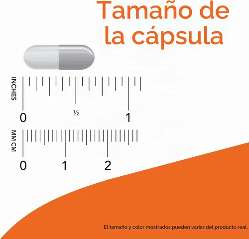 Vista 3 de NOW Foods Suplementos, Clinical GI Probiotic™, Fórmula 50+, Cepa Verificada, 60 Cápsulas Veganas