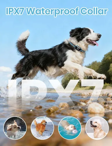 Vista 6 de Smart 2-in-1 Dog Shock and Bark Collar - AI Anti-Misoperation, 3300FT Remote Training Collar, IPX7 Waterproof, 4 Modes