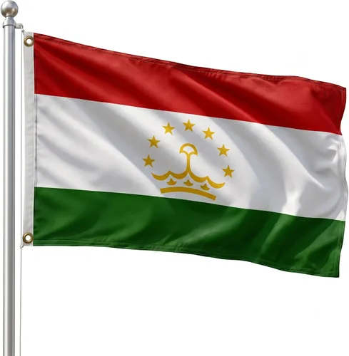 Vista 86 de DMSE - Bandera nacional beninesa beninesa de la República de África Occidental, 2 x 3 pies, 100 % poliéster, 100 % poliéster, resistente a los rayos
