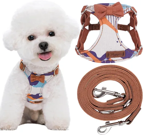 Vista 14 de Arnés sin tirones Puppytie para perro, con correa multifunción, pechera suave y ajustable para mascota, no ahorca, chaleco a prueba de escape, cielo