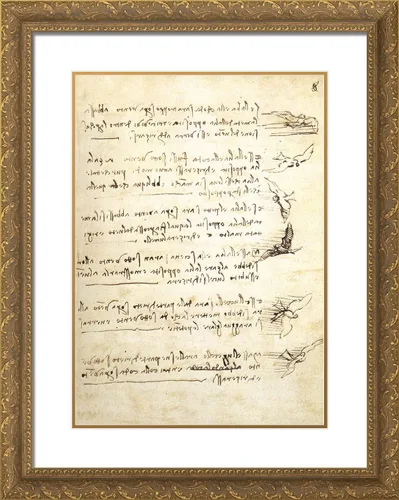 Vista 4 de ArtDirect Da Vinci, Leonardo 19x24 - Lámina enmarcada moderna negra titulada: Códice sobre el vuelo de las aves I