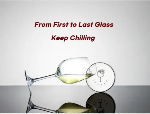 Vista 8 de Cubo enfriador de vino con piedra de hielo inoxidable, cubo de champán para botella individual de 25.4 fl oz de frío hasta 5 horas, cubo enfriador