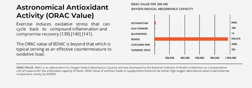 Vista 3 de Pro NovoCurcumin-BioBDMC50-Next Generation Curcumina altamente mejorada - 240 cápsulas