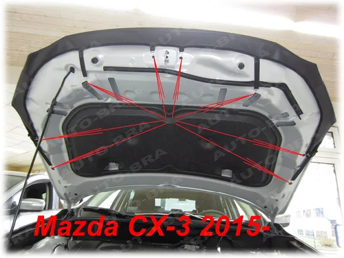 Vista 5 de AB3-00057 Brasier de capucha con aspecto de fibra de carbono compatible con Mazda CX-3 desde 2015