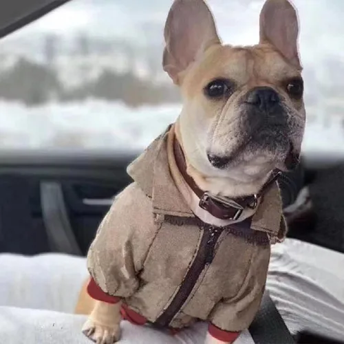 Vista 4 de Sudadera con capucha para perro de invierno, ropa de lujo para perro, ropa clásica para mascotas, abrigo de bulldog francés, ropa de cachorro