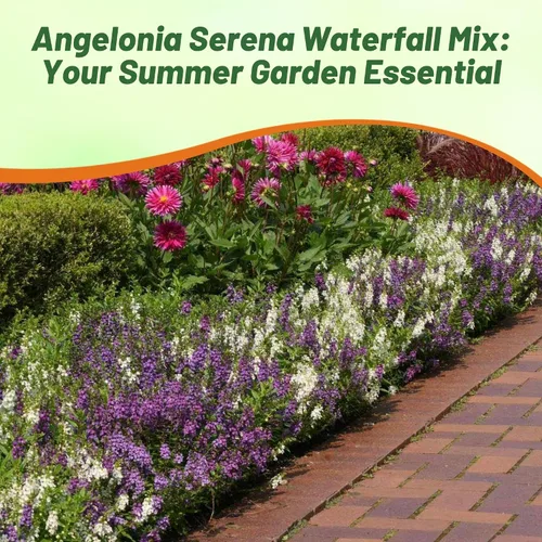 Vista 8 de Outsidepride Serena Waterfall Mix Angelonia Snapdragon Seeds para plantar, 15 piezas de semillas de flores perennes, aptas para polinizadores