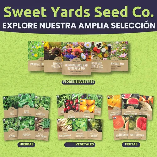 Vista 7 de Pansy Swiss Giants Mix - Sobre grande de 1,500 mg - 1,100 semillas de flores para plantar - Viola