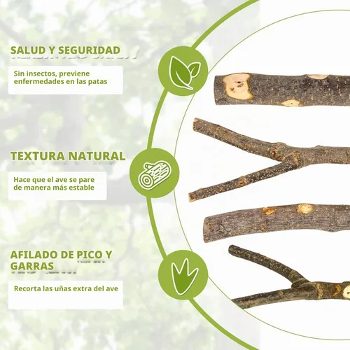 Vista 4 de 5 piezas de percha de madera natural para pájaros - Juego de perchas de rama recta y bifurcada, accesorios para jaula de pájaros para aves pequeñas