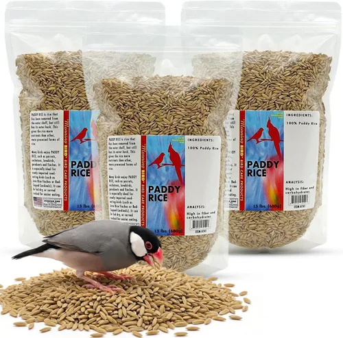 Vista 12 de Semillas de cáñamo Morning Bird, 4.5 lb