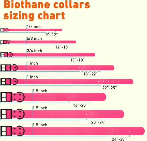 Vista 160 de Dogline Biothane - Collar impermeable para perro con hebilla de liberación rápida, resistente cincha de nailon recubierta con resistente y a prueba
