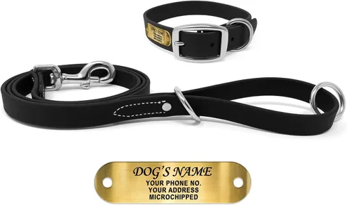 Vista 13 de Regal Dog Products Collares de perro pequeños negros impermeables con placa de nombre personalizada grabada Collar de perro de Biothane