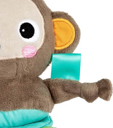 Vista 7 de Bright Starts Pull, Play & Boogie - Juguete de actividad musical para cochecito - Mono, unisex, recién nacido +