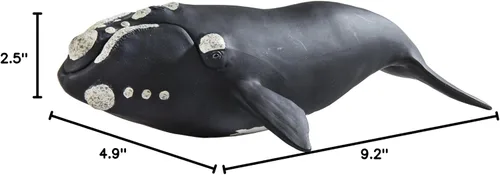Vista 7 de Safari Ltd. Figura de ballena derecha – Figura detallada de modelo de plástico de 9.25 pulgadas – Divertido juguete educativo para niños, niñas