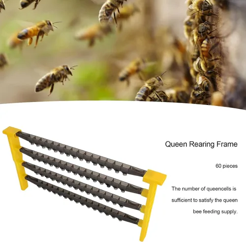 Vista 3 de 60 piezas de copas de célula de cría de reina, herramientas de apicultura de plástico, herramienta de cultivo de células con 2 lados y 4 barras