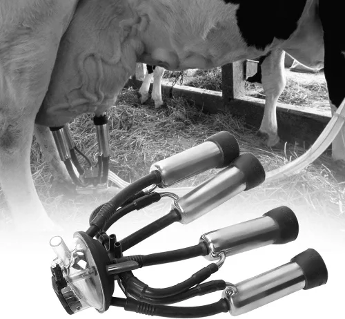 Vista 3 de Racimo de ordeño, racimo de ordeño de vaca gruesa de goma de acero inoxidable de 240 CC con un gancho, colector de leche de vaca de estructura