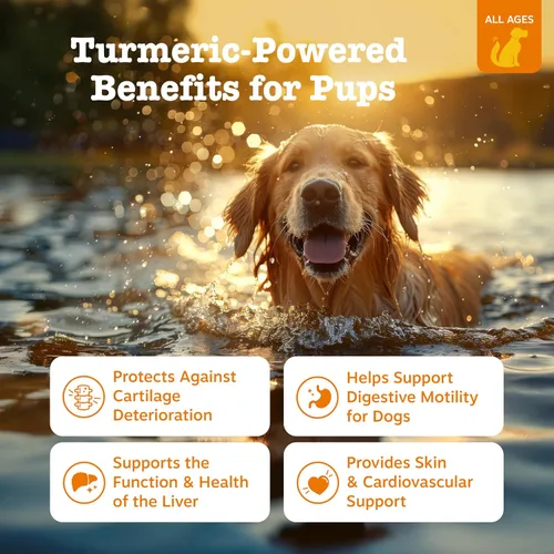 Vista 2 de Zesty Paws Curcumina de cúrcuma para perros, para la movilidad de la cadera y las articulaciones, apoya la salud cardiovascular digestiva canina