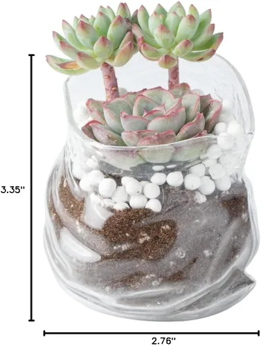 Vista 7 de Restaurantware Tazón de Vidrio Transparente de 8 oz Borde Ondulado Tazón de Bolsa Sin Cremallera Plato de Servir Creativo Apto para Lavavajillas