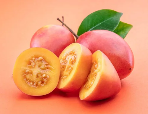 Vista 3 de Semillas de tomate de árbol para plantar - 10 semillas raras - Tamarillo, Cyphomandra betacea