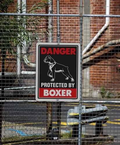 Vista 3 de Honey Dew Gifts, Cartel de metal con texto en inglés «Beware of Dog» («Beware of Dog») de «Danger Protected Boxer» («Beware of Dog») de 9 x 12