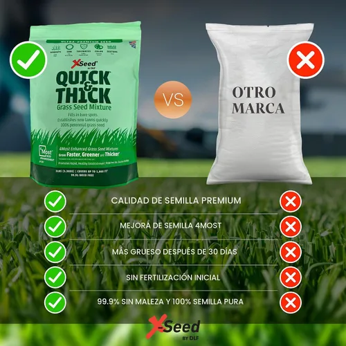Vista 5 de Mezcla de semillas de césped X-Seed Ultra Premium, rápido y grueso, North