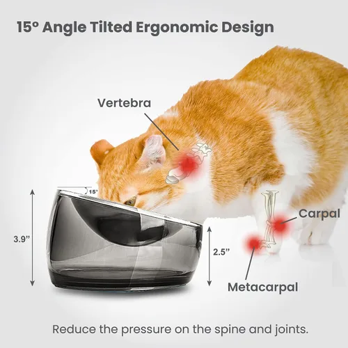 Vista 8 de Felli Pet Cuenco para Comida de Gato Oblik Fatiga de Bigotes Plato Elevado de Acero Inoxidable Poco Profundo, Diseño Apto para Mascotas Comedero