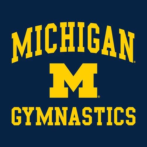 Vista 2 de NCAA Arch Logo Gimnasia, camiseta de color del equipo, universidad, universidad