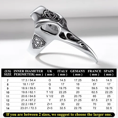 Vista 4 de Richsteel Anillo de acero inoxidable con calavera de cuervo vikingo vikingo para hombres y mujeres, joyería gótica de protección nórdica