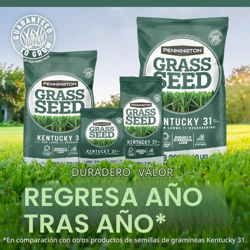 Vista 5 de Pennington Kentucky 31 Semilla de Césped Festuca Alta Penkoted 3 lb