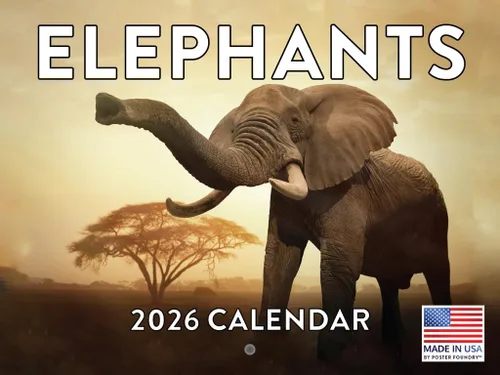 Vista 75 de Calendario mensual de pared de alpaca 2025 Fabricado en Estados Unidos