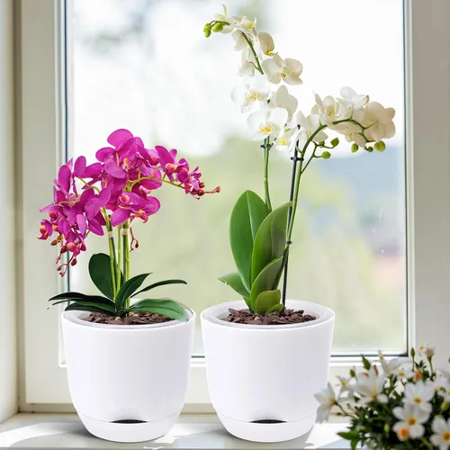 Vista 6 de QCQHDU Paquete de 2 macetas de orquídeas de 7.2 pulgadas con agujeros para trasplantar, maceta de orquídea de doble capa y riego automático